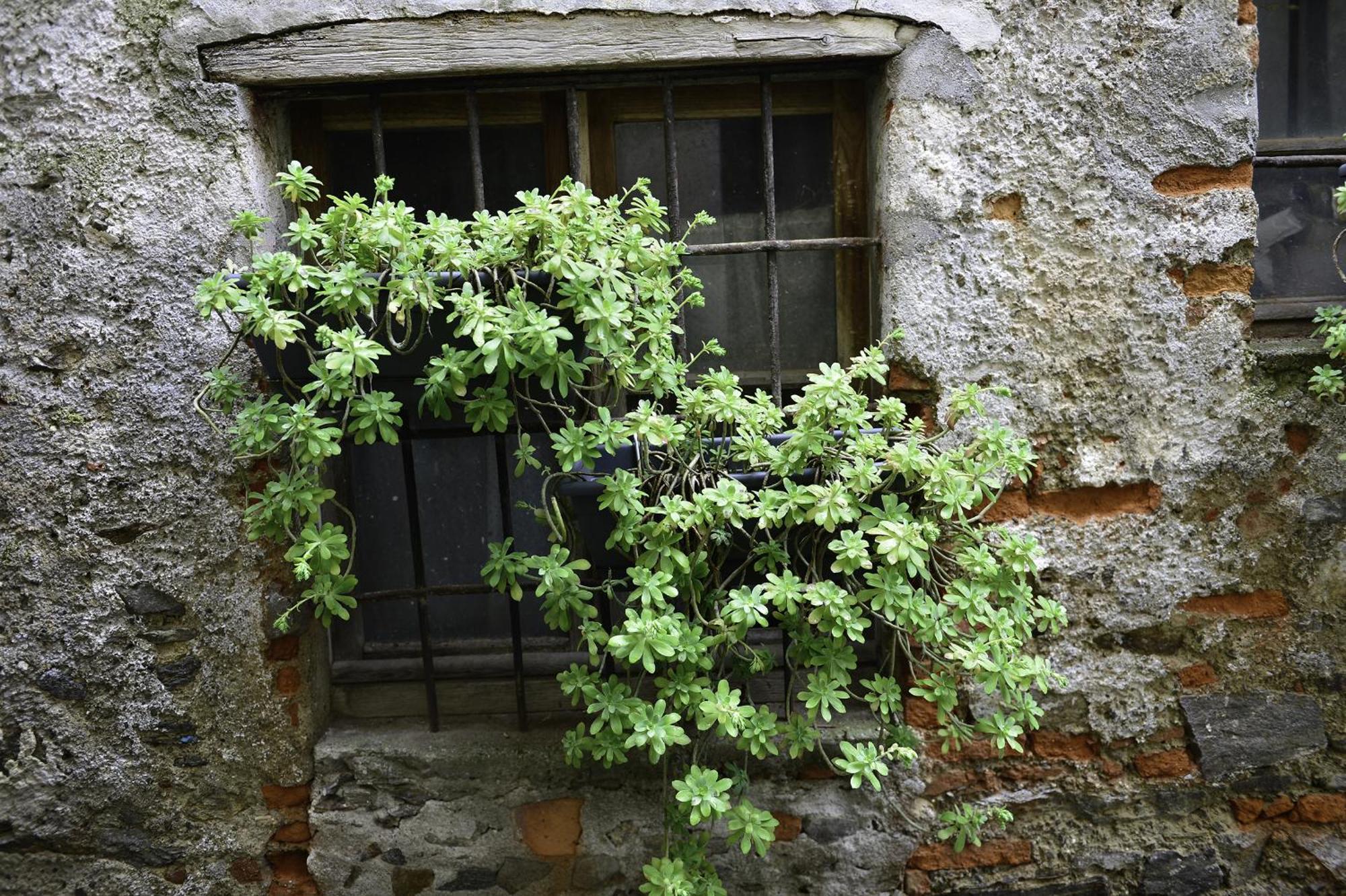 A Casa Di Sole Brovello Daire Dış mekan fotoğraf